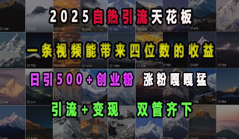 2025自热引流天花板，一条视频能带来四位数的收益，引流+变现双管齐下，日引500+创业粉，涨粉嘎嘎猛_豪客资源库