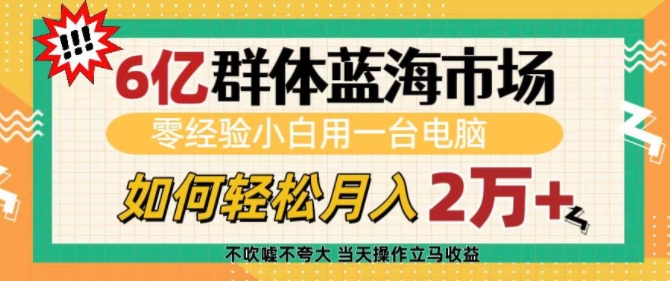 6亿群体蓝海市场,零经验小白用一台电脑,如何轻松月入过w【揭秘】_豪客资源库