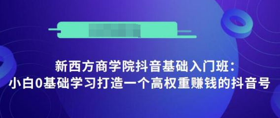 抖音基础入门班：小白0基础学习打造一个高权重赚钱的抖音号_豪客资源库