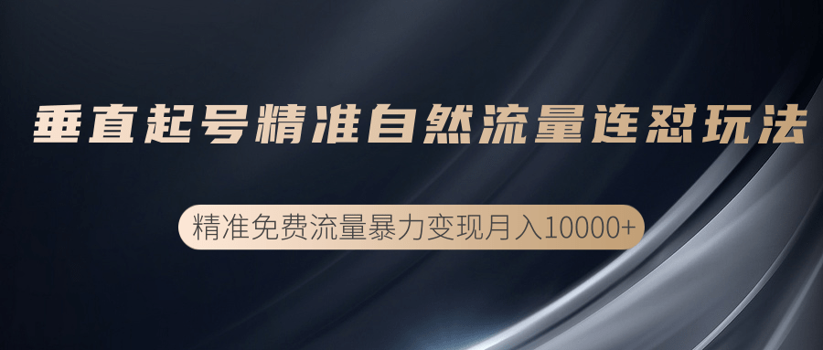 垂直起号精准自然流量连爆玩法，精准引流暴力变现月入10000+_豪客资源库