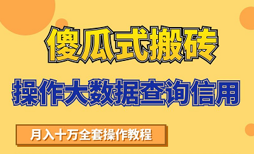 搬砖操作大数据查询信用项目赚钱教程，祝你快速月入6万_豪客资源库