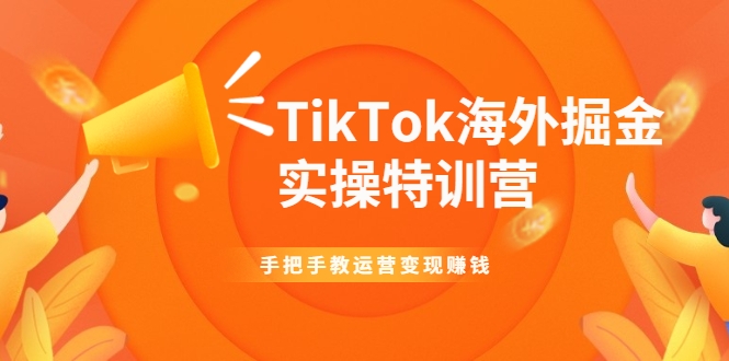 TikTok海外掘金实操特训营：手把手教运营变现赚钱_豪客资源库