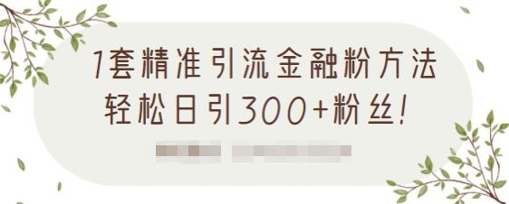 1套精准引流金融粉方法，轻松日引300+粉丝_豪客资源库