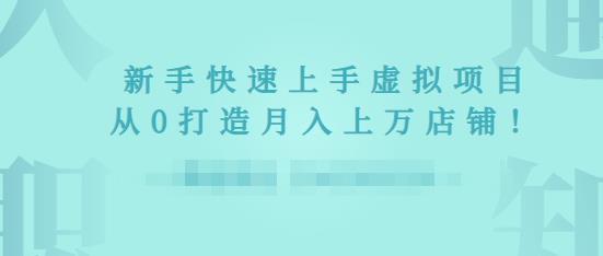 2022年虚拟项目实战指南，新手从0打造月入上万店铺_豪客资源库