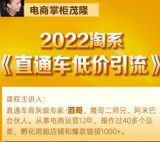茂隆2022直通车低价引流玩法，教大家如何低投入高回报的直通车玩法_豪客资源库