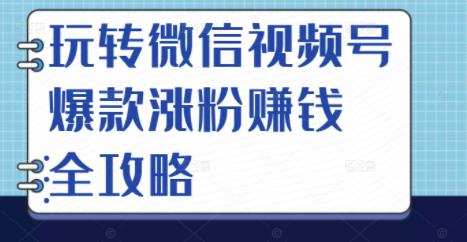 玩转微信视频号爆款涨粉赚钱全攻略,让你快速抓住流量风口,收获红利财富_豪客资源库