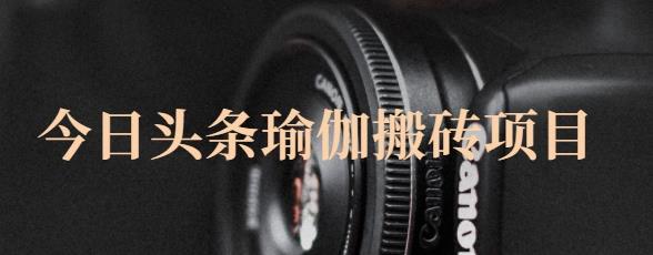 猎人社区·今日头条瑜伽搬砖项目，单号一天几十收入，可以批量操作！_豪客资源库