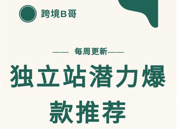 【跨境B哥】独立站潜力爆款选品推荐，测款出单率高达百分之80_豪客资源库