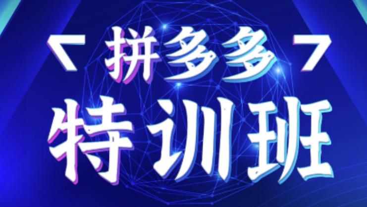 星雪教育·拼多多基础班+进阶班+突破班，用系统的学习模式快速改变现状价值3580元_豪客资源库