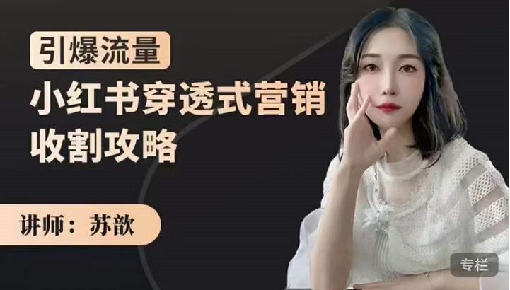 苏歆：小红书穿透式营销收割攻略，引爆流量，助你玩转小红书_豪客资源库