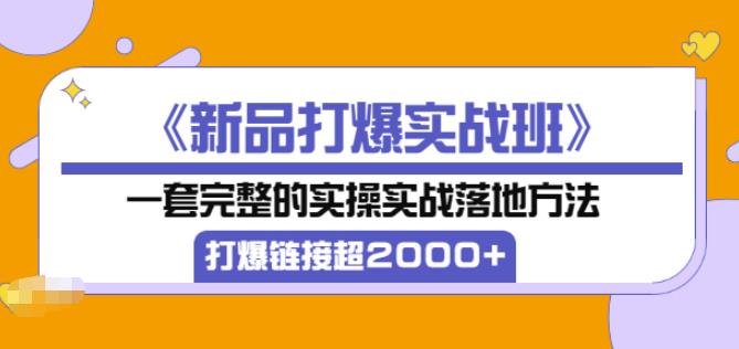 凌童《新品打爆实战班》,一套完整的实操实战落地方法，打爆链接超2000+（28节课)_豪客资源库
