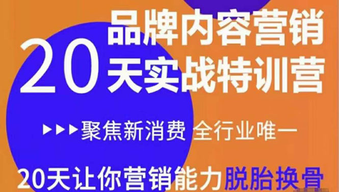 《内容营销实操特训营》20天让你营销能力脱胎换骨（价值3999）_豪客资源库