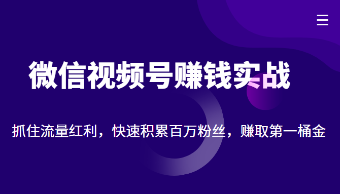 微信视频号赚钱实战：抓住流量红利，快速积累百万粉丝，赚取你的第一桶金_豪客资源库
