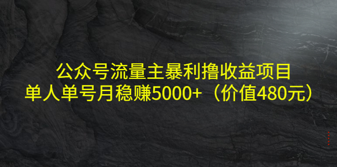 公众号流量主暴利撸收益项目,单人单号月稳赚5000+(价值480元)_豪客资源库