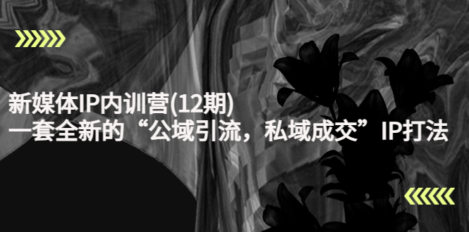 新媒体IP内训营(12期),一套全新的“公域引流,私域成交”IP打法,直接带走_豪客资源库