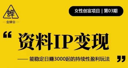 资料IP变现，能稳定日赚3000起的持续性盈利玩法_豪客资源库