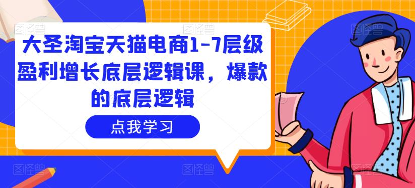 大圣淘宝天猫电商1-7层级盈利增长底层逻辑课，爆款的底层逻辑_豪客资源库