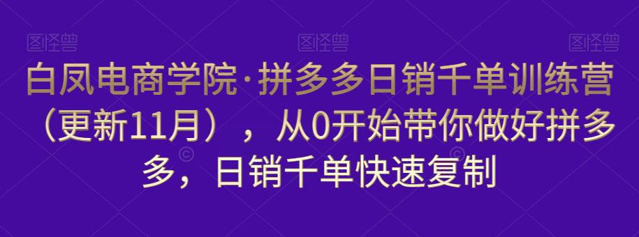 白凤电商学院·拼多多日销千单训练营，从0开始带你做好拼多多，日销千单快速复制（更新知2023年3月）_豪客资源库