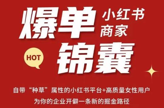 无畏·小红书商家爆单锦囊，掌握小红书各大规则，快速精准抢占行业和市场_豪客资源库