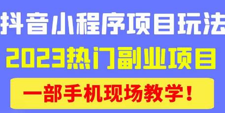 抖音小程序9.0新技巧，2023热门副业项目，动动手指轻松变现_豪客资源库