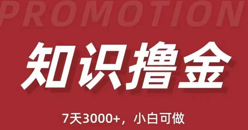 抖音知识撸金项目：简单粗暴日入1000+执行力强当天见收益(教程+资料)_豪客资源库