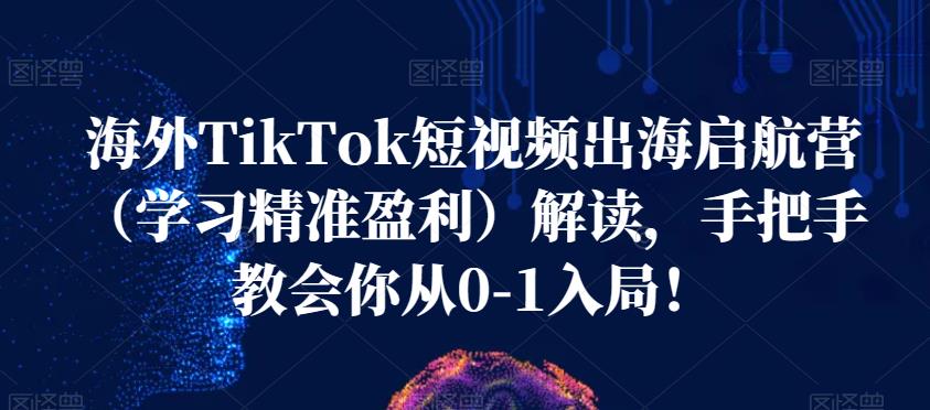 海外TikTok短视频出海启航营（学习精准盈利）解读，手把手教会你从0-1入局！_豪客资源库
