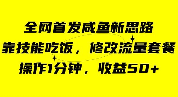 咸鱼冷门新玩法，靠“技能吃饭”，修改流量套餐，操作1分钟，收益50【揭秘】_豪客资源库