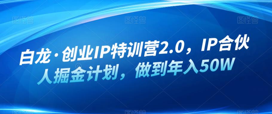 白龙·创业IP特训营2.0,IP合伙人掘金计划,做到年入50W_豪客资源库