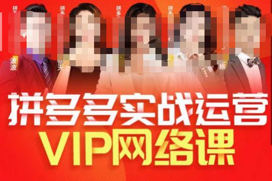 推易拼多多VIP全套直播课程，拼多多店铺实操玩法+实战玩法选款内功+直通车高阶等_豪客资源库