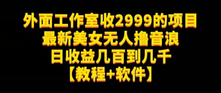 外面工作室收2999的项目最新美女无人撸音浪日收益几百到几千【教程+软件】(仅揭秘)_豪客资源库