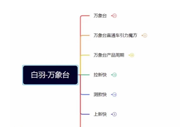 白羽·直引万搜索全篇，从0-1，多个类目实操经验总结付费_豪客资源库