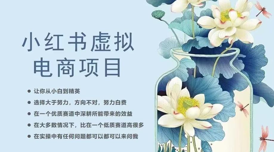 小红书虚拟电商从0到1，让你从小白到精英（20节实操课程）_豪客资源库