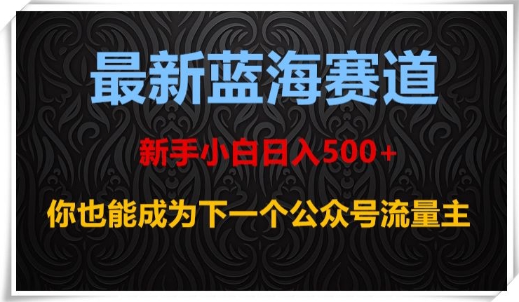 最新蓝海赛道，新手小白日入500+，你也能成为下一个公众号流量主【揭秘】_豪客资源库