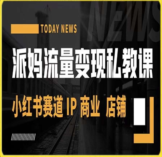 派妈流量变现私教课，小红书赛道IP  商业  店铺 _豪客资源库