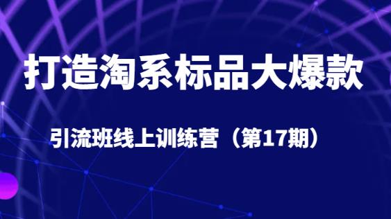 打造淘系标品大爆款引流班线上训练营（第17期）5天直播授课_豪客资源库