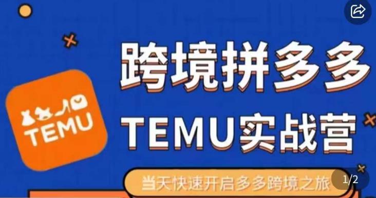 大鹏出海·拼多多跨境temu运营指导，开店注册+选品+核价上架，日出千单实战课_豪客资源库