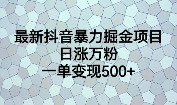 最新抖音暴力掘金项目，日涨万粉，一单变现500+【揭秘】_豪客资源库