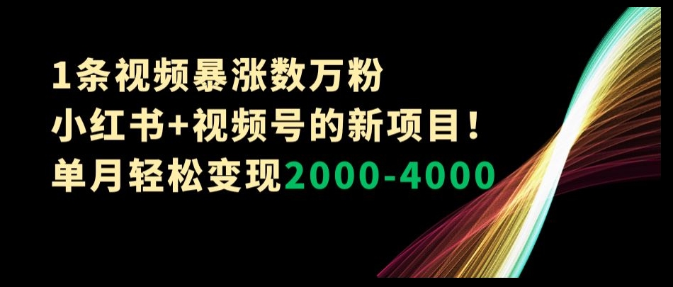1条视频暴涨数万粉–小红书+视频号的新项目！单月轻松变现2000-4000【揭秘】_豪客资源库