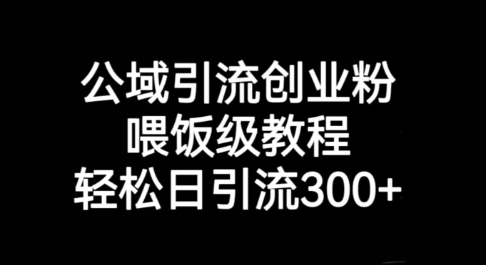 公域引流创业粉，喂饭级教程，轻松日引流300+【揭秘】_豪客资源库