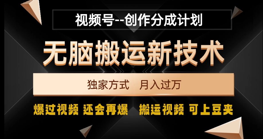 视频号无脑搬运新技术，破原创壕流量，独家方式，爆过视频，还会再爆【揭秘】_豪客资源库