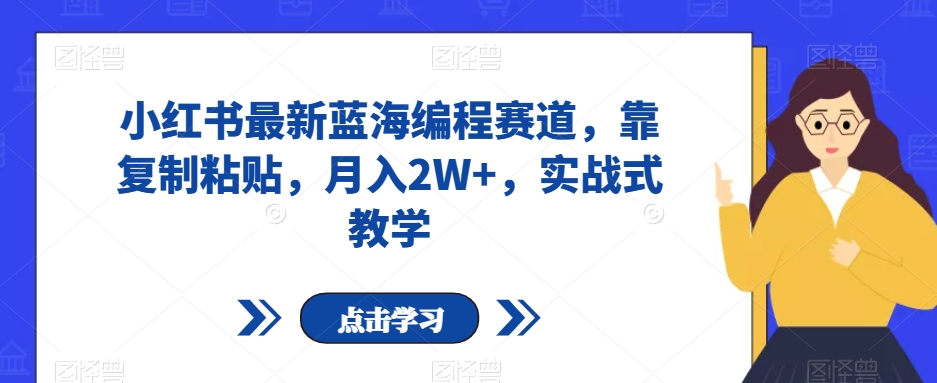 小红书最新蓝海编程赛道，靠复制粘贴，月入2W+，实战式教学【揭秘】_豪客资源库