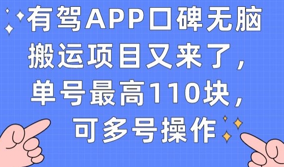 有驾APP口碑无脑搬运项目又来了，单号最高110块，可多号操作_豪客资源库