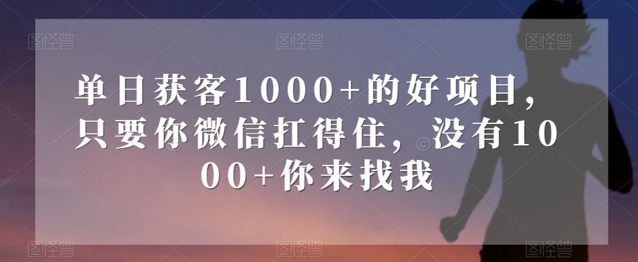 单日获客1000+的好项目，只要你微信扛得住，没有1000+你来找我【揭秘】_豪客资源库