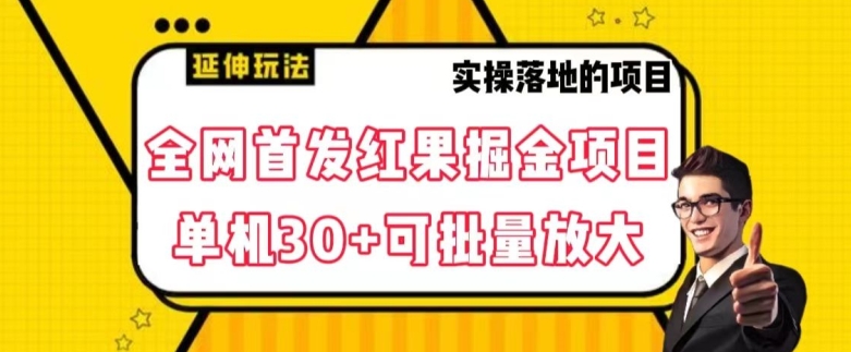 全网首发红果免费短剧掘金项目，单机30+可批量放大【揭秘】_豪客资源库