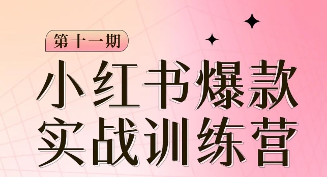 小红书博主爆款训练营第11期，手把手教你从0-1做小红书，从定位到起号到变现_豪客资源库