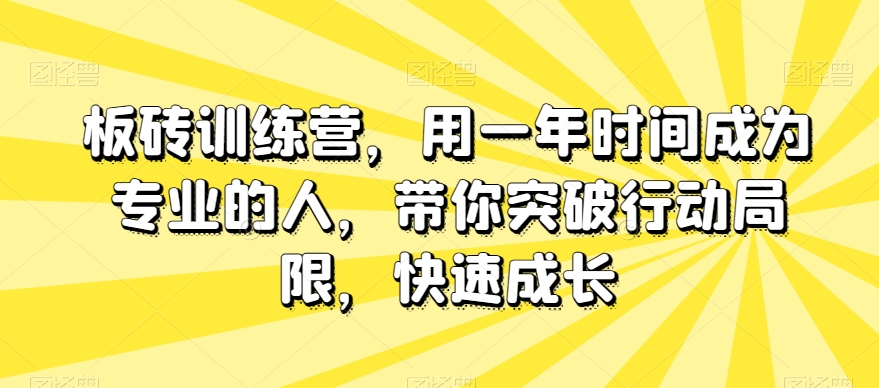 板砖训练营，用一年时间成为专业的人，带你突破行动局限，快速成长_豪客资源库