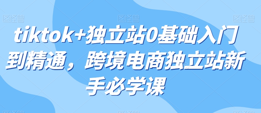 tiktok+独立站0基础入门到精通，跨境电商独立站新手必学课_豪客资源库