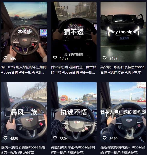 抖音开车视频项目，0基础操作，每天五分钟，月入1W+【揭秘】_豪客资源库