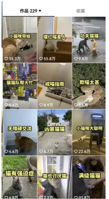 拆解抖音盘点类中视频变现副业项目,视频版一条龙大解析分享给你【视频课程】_豪客资源库