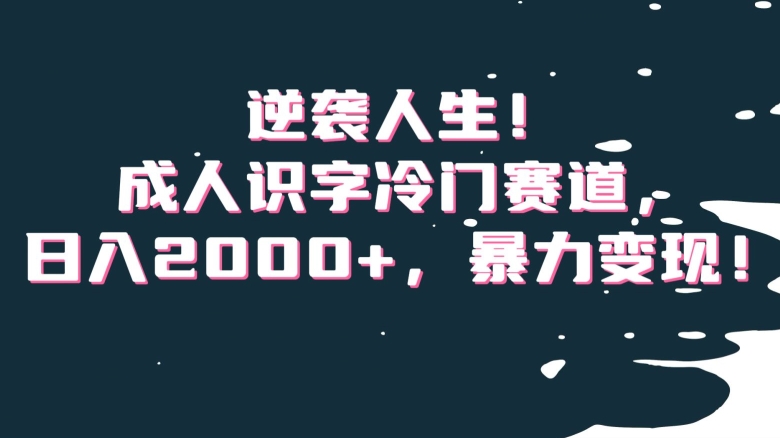 逆袭人生！成人识字冷门赛道，日入2000+，暴力变现！【揭秘】_豪客资源库